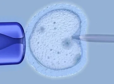 Mini IVF (Minimal Stimülasyon Tüp Bebek) Nedir?