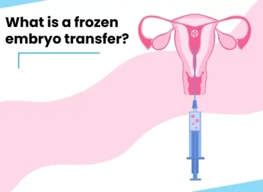 Donmuş Embriyo Transferi (FET) Nedir? Başarı Oranları