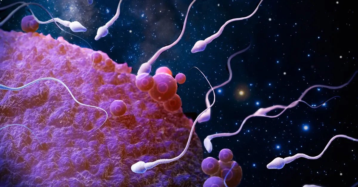 Tüp Bebek Tedavisinde Erkek Faktörü: Sperm Kalitesini Artırma Yolları